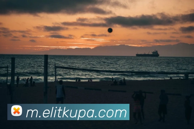 pa视讯平台生态图